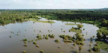 Undeveloped Land in Warren County, Mississippi