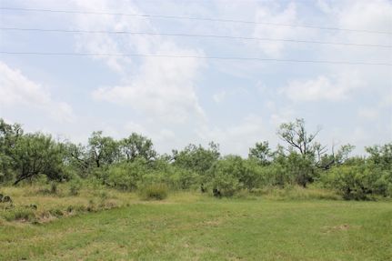 Hunting Property in Atascosa County, Texas