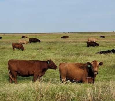 Land in Haskell County, Texas