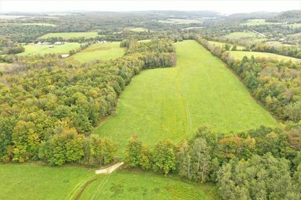 Timberland Property in Steuben County, New York