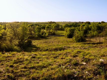 Hunting Property in Erath County, Texas