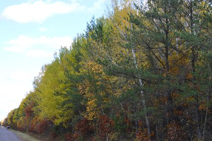 Hunting Property in Burnett County, Wisconsin