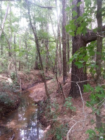 Recreational Property in Wood County, Texas
