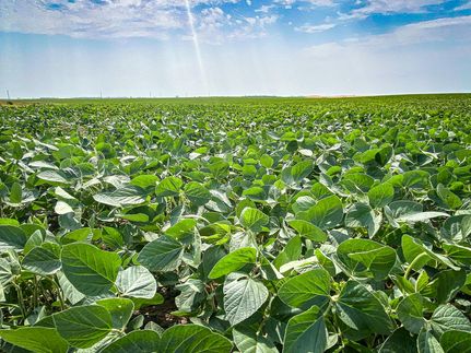 Land in Emmons County, North Dakota