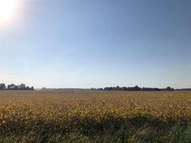 Recreational Property in Fountain County, Indiana