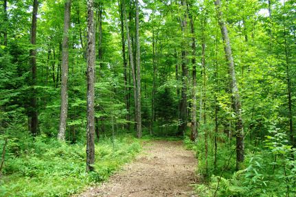 Farm and Ranch in Forest County, Wisconsin
