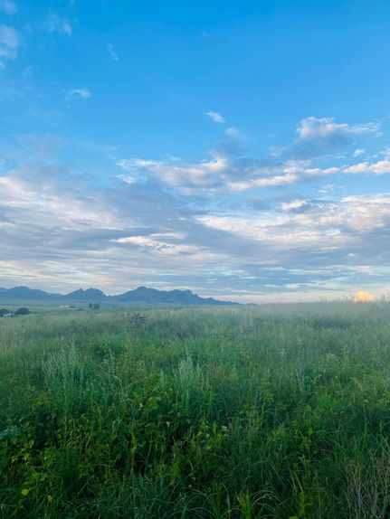 Undeveloped Land in Santa Cruz County, Arizona