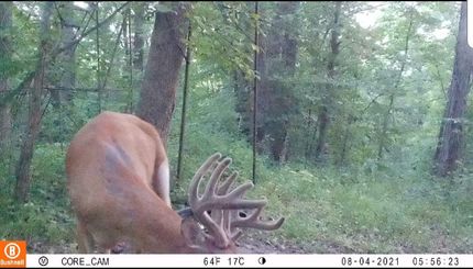 Recreational Property in Crawford County, Wisconsin