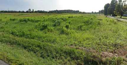 Land for sale in Allen County, Ohio