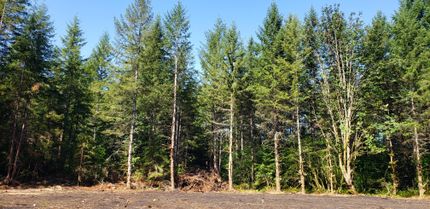 Timberland Property in King County, Washington