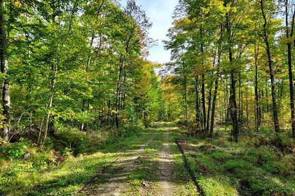 Commercial Property in Forest County, Wisconsin