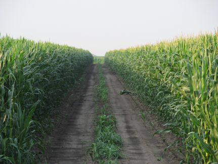 Farm and Ranch in York County, Nebraska