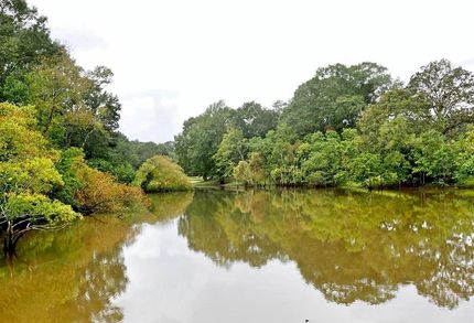 Land in Marion County, Mississippi