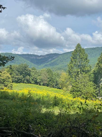 Farm and Ranch in Lee County, Virginia