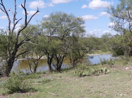 Timberland Property in Schleicher County, Texas
