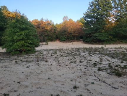 Recreational Property in Allegan County, Michigan