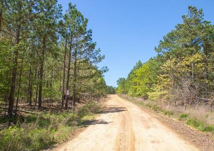 Undeveloped Land in Pushmataha County, Oklahoma
