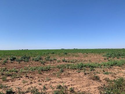 Land in Lynn County, Texas