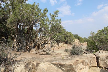 Recreational Property in Duchesne County, Utah