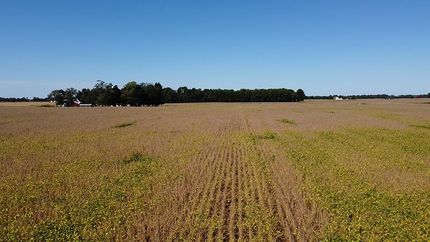 Farm and Ranch in Clinton County, Indiana