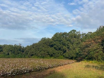 Land in Terrell County, Georgia