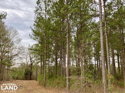 Land in Perry County, Alabama