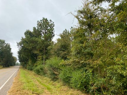 Timberland Property in Rusk County, Texas
