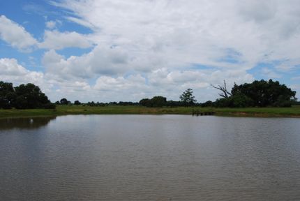 Farm and Ranch in Austin County, Texas