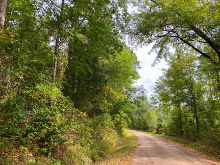 Timberland Property in Rusk County, Texas