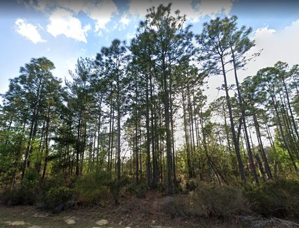 Farm and Ranch in Putnam County, Florida