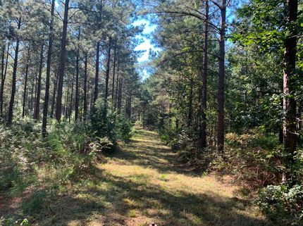 Land in Saluda County, South Carolina