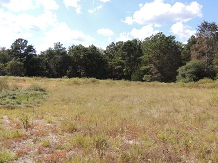 Farm and Ranch in Anderson County, Texas