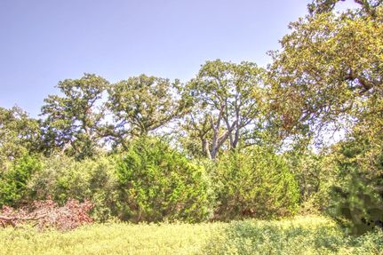 Timberland Property in Bastrop County, Texas