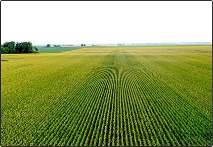 Farm and Ranch in Woodford County, Illinois