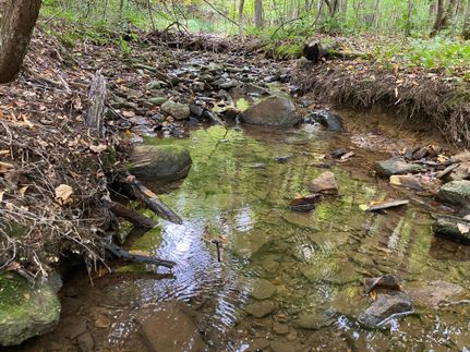 Hunting Property in Somerset County, Pennsylvania