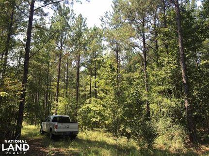 Hunting Property in Monroe County, Alabama