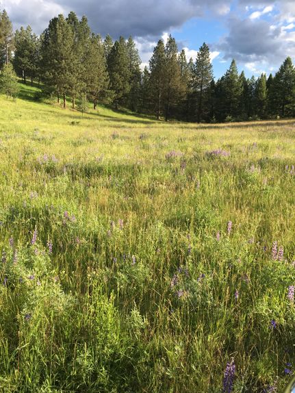 Recreational Property in Okanogan County, Washington