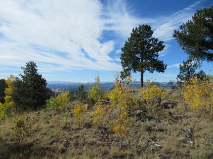 Hunting Property in Teller County, Colorado