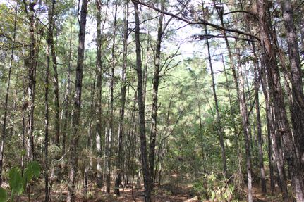 Farm and Ranch in Angelina County, Texas