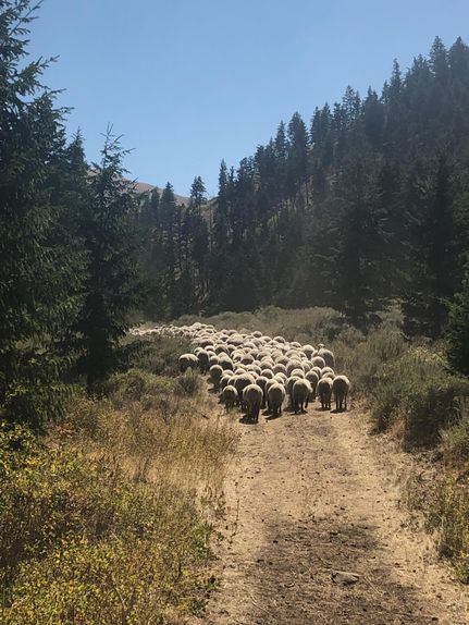 Recreational Property in Cassia County, Idaho