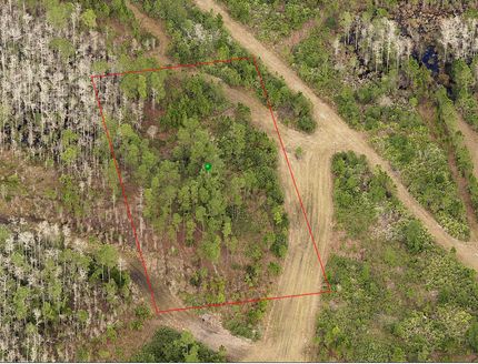 Undeveloped Land in Volusia County, Florida