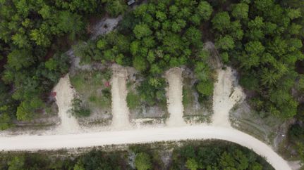 Farm and Ranch in Taylor County, Florida