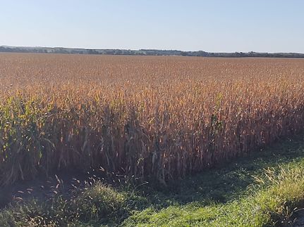 Timberland Property in Marshall County, South Dakota