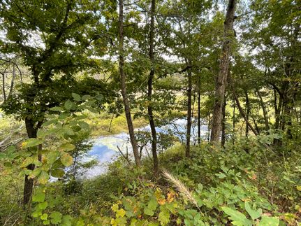 Recreational Property in Texas County, Missouri