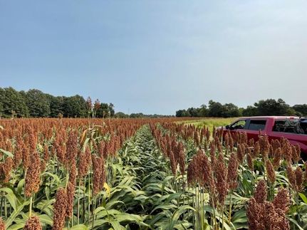 Land in Madison County, Tennessee