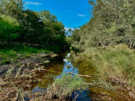 Recreational Property in Live Oak County, Texas