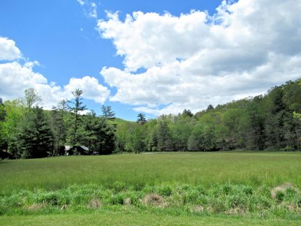 Timberland Property in Bland County, Virginia