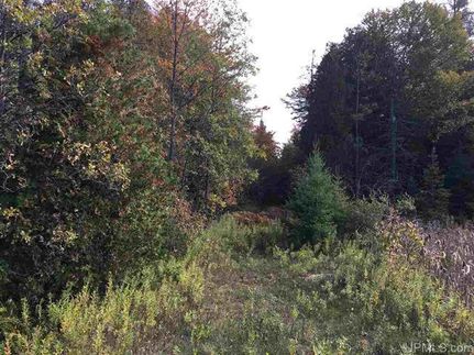 Farm and Ranch in Marquette County, Michigan