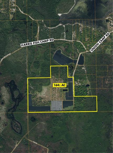 Timberland Property in Putnam County, Florida