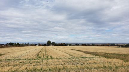 Timberland Property in Twin Falls County, Idaho